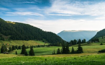 Healthy Eating for Seniors: Nutrition Tips and Guidelines