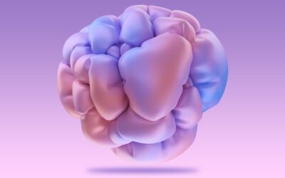 Boost Memory & Brain Health: Support for Your Mind