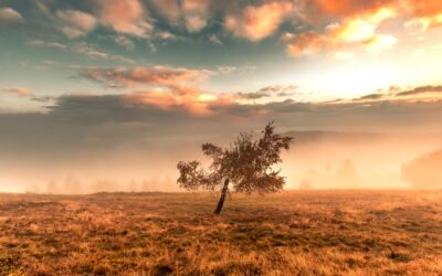 27. How Vision and Hearing Loss Increase Fall Risk—And What to Do About It