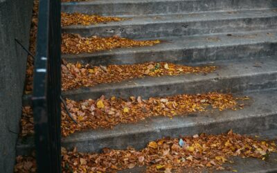 25. Fall Prevention Starts at Home: Simple Fixes Every Senior Should Make